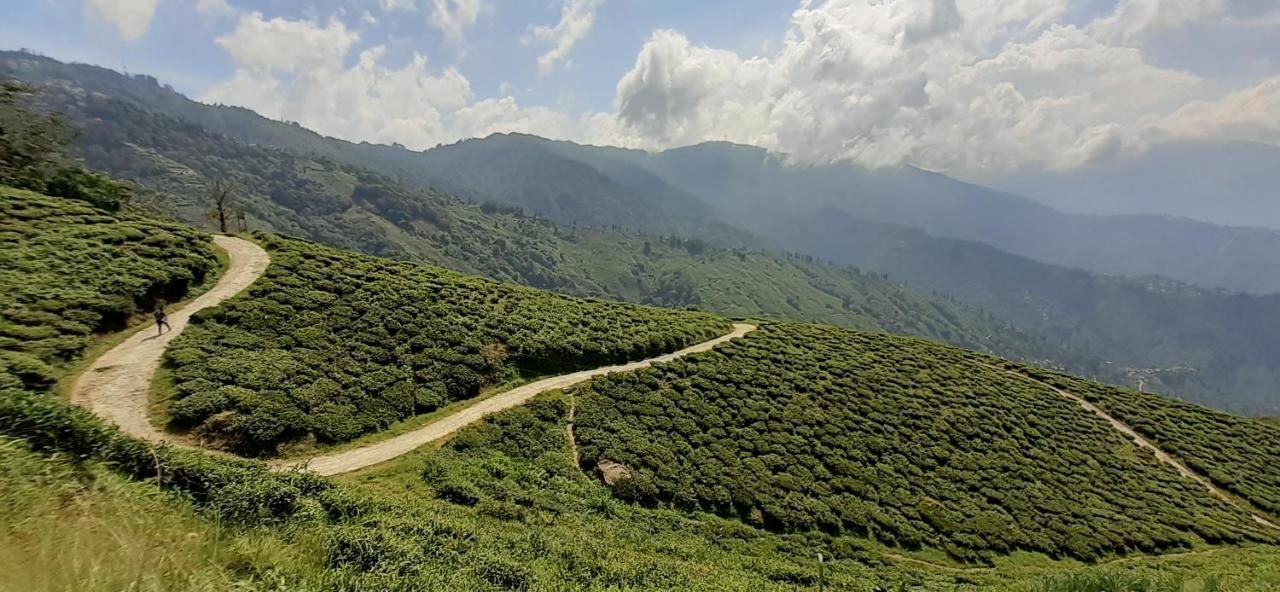 大吉岭Rajbari Farms别墅 外观 照片